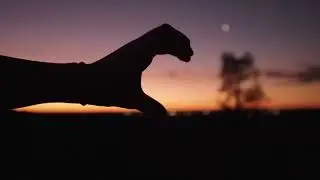 ЕСЛИ ЭТО НЕ БОЛЬ