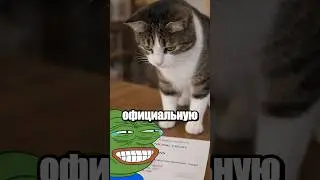 The cat is a juror