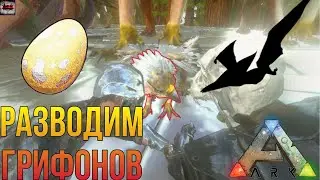 КАК РАЗВОДИТЬ ГРИФОНОВ? ПТЕР НА 500 УРОНА! ARK Mobile