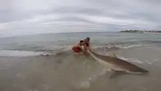 Huge Shark Caught Off The Beach