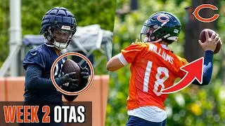 The Chicago Bears FLASHED Insane Potential On Both Sides Of The Football In OTAs... | Bears News |