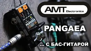 Обзор AMT Pangaea с басом