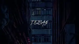 Fog In The Alleyway (Lyric Video)