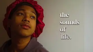 the sounds of my life