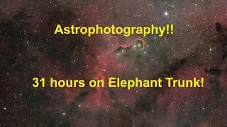 Astrophotography:  31 hours on the Elephant Trunk Nebula
