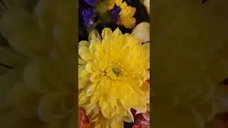 Шикарный букет живых цветов!