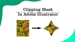 Adobe Illustrator Tutorial | How To Do Clipping Mask in Adobe Illustrator