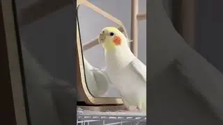 beautiful cocktail
