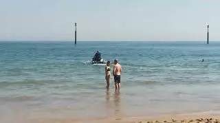 Sea paling