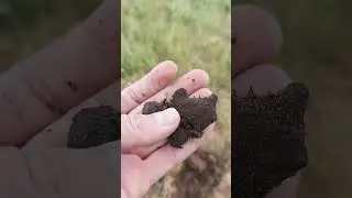 Нечасто такое попадается #metaldetecting #коп