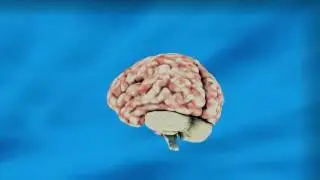 Инвестиции в фондовый рынок – это просто! Практики и убеждения для начинающего инвестора в акции