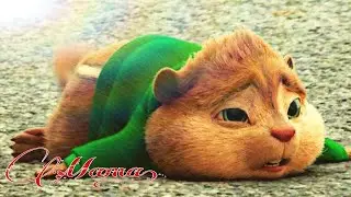 Снова день снова ночь - Бурундуки
