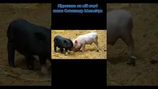 1 января 2022 г.