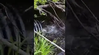 Вот это рыбалка,понимаю))