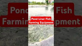 pond liner fish farming equipment। #chhattisgarh #biofloc_fish_farming #fishfarming #omprakashausar