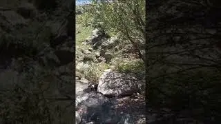 vid