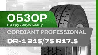 ОБЗОР: Грузовая шина Cordiant Professional DR-1 215/75 R17.5