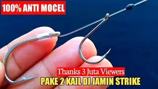 Rangkaian pancing kakap putih - Anti mocel - Teknik dasaran