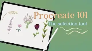 Procreate 101: how to move, distort and warp ( part 2)