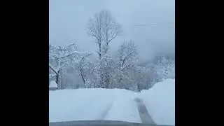 Sen hep beni mazideki halimle tanirsin