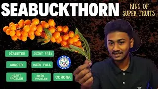 Let's Unlock the hidden Indian Tressure | ft. SeaBuckthorn | Modern Sanjeevani Bhooti
