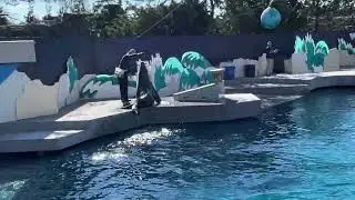 New York Aquarium Sea Lion Show 2022