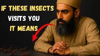 97% of Muslims Miss These Signs! The Spiritual Meaning of the Insects in Your House |ISLAMIC WARNING