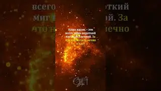 Но всё запуганы #shorts