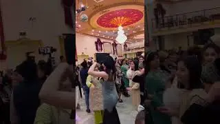 Bu opa yorvordi bu