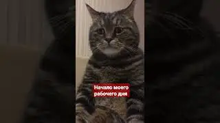 Начало моего рабочего дня 😂😂😂,отправь другу 👇