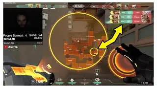 This Ultimate Can Obliterate Or Do 0 Damage