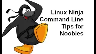 Linux command line (append text to end of many files with single command)