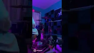 Amputee - Husky