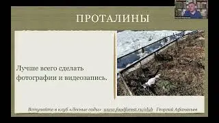 Изучение своего участка - проталины Афанасьев