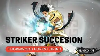 Black Desert Online : 258 AP Striker Succ Grind Thornwood Forest