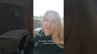 5 курсов для зелёных ведьмочек и травниц от Ксении Срубас.