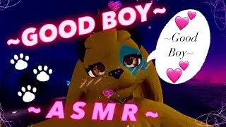 ASMR Furry ~ 
