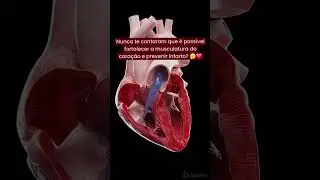 VOCÊ SABIA QUE ISSO PODE PREVENIR INFARTO?