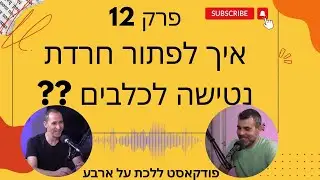 פרק 12 - איך לפתור חרדת נטישה של כלבים - פודקאסט ללכת על ארבע עם טל שלוש ואיתי ורדי אילוף כלבים