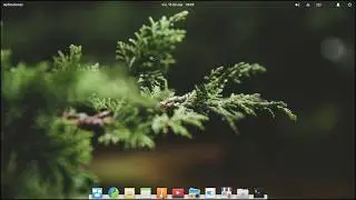 Elementary OS 0.4.1 Loki