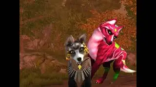 Meme wolf tales. The video was filmed in 2026-2025.