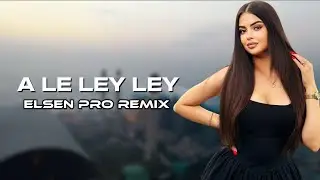Elsen Pro - A Le Ley Ley (Tiktok Remix)
