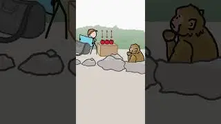 How I found out that Monkeys can Count!