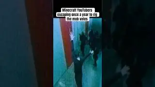 Minecraft Youtubers Rigging Mob Vote Meme