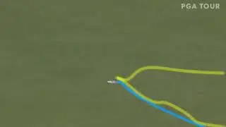 butterfly tracer