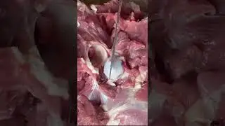 Как разделать барана по суставам?