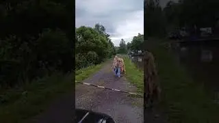 Трофеи холодных  зимних вечеров.
