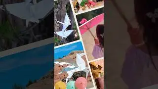 Checking out Origami in the Garden - Things to do in Santa Fe New Mexico #shorts #travel