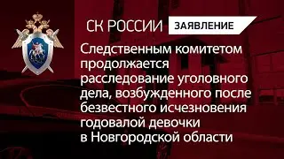 Продолжается расследование уголовного дела о безвестном исчезновении ребенка в Новгородской области