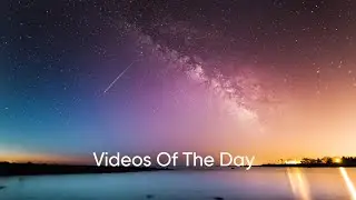 My Videos Of The Day
